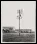Primary view of [Frank Sholte Standing on a Telegraph Pole]