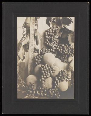 Primary view of object titled '[Midland Area Grapes]'.