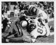 Primary view of [North Texas vs. Wichita State University Football Game, 1968]