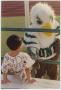 Photograph: [North Texas Mascot at the Homecoming Game, 1992]