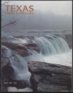 Primary view of object titled 'Texas Parks & Wildlife, Volume 38, Number 3, March 1980'.