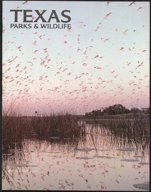 Texas Parks & Wildlife, Volume 38, Number 12, December 1980