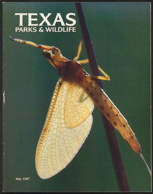 Primary view of object titled 'Texas Parks & Wildlife, Volume 45, Number 5, May 1987'.