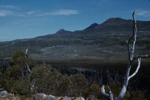 [Landscape of Hartz Mountains National Park in Tasman Peninsula, Australia #2]