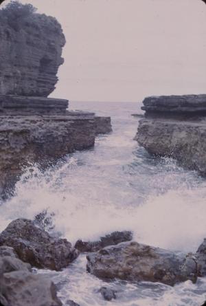 [Landscape of sea cliffs in Tasman Peninsula, Australia #1]