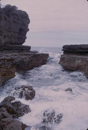 [Landscape of sea cliffs in Tasman Peninsula, Australia #2]