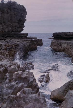 [Landscape of sea cliffs in Tasman Peninsula, Australia #5]