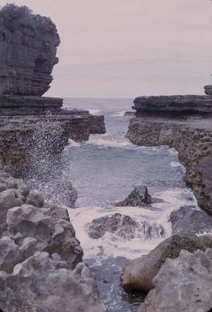 [Landscape of sea cliffs in Tasman Peninsula, Australia #6]