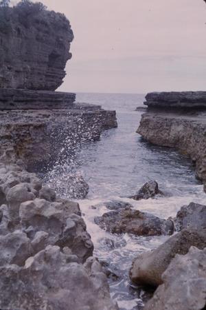 [Landscape of sea cliffs in Tasman Peninsula, Australia #7]