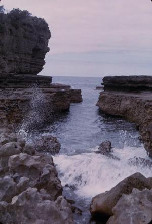 [Landscape of sea cliffs in Tasman Peninsula, Australia #8]