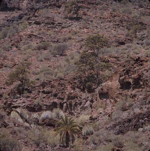 [Landcape of Arguineguin, Canary Islands]