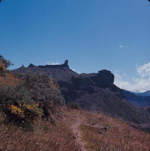 [Landscape of montane scrub and remanent lava flows in Tamadaba Natural Park, Canary Islands]
