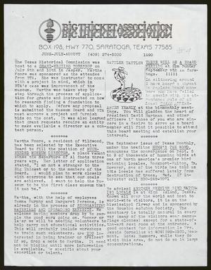 Primary view of object titled 'Big Thicket Association [Newsletter], Number [4], June-August 1990'.