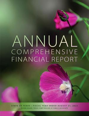 Texas Annual Comprehensive Financial Report: 2023