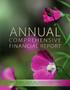 Primary view of Texas Annual Comprehensive Financial Report: 2023