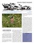 Primary view of South Texas Wildlife, Volume 18, Number 3, Fall 2014
