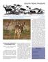 Journal/Magazine/Newsletter: South Texas Wildlife, Volume 19, Number 3, Fall 2015