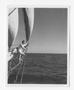 Photograph: [A Sailor Standing on Evaleeta's Ropes]