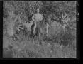 Thumbnail image of item number 1 in: '[Negative of a Soldier Emerging Form Trees on Horseback, #1]'.