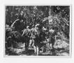 Photograph: [Soldiers Walking Through a Jungle]