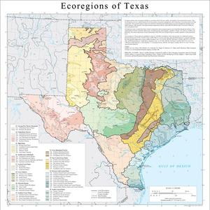 Primary view of object titled 'Ecoregions of Texas [Map]'.
