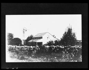[Photograph of George Weber House]