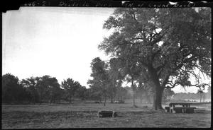 Primary view of object titled '[Roadside Park on U.S. Highway 81]'.