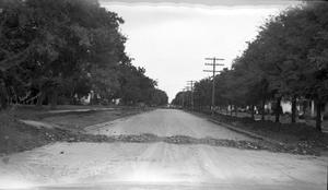 Primary view of object titled '[Brushy Street  in Georgetown]'.