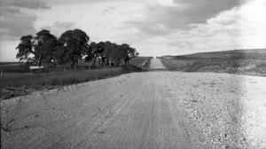 [Photograph of Dirt Road #7]