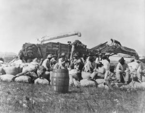 Primary view of object titled '[People Resting on Sacks Filled With Rice After Harvesting]'.