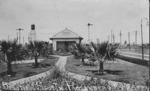 [Palm trees in front of the Rosenberg Depot]