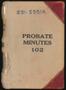 Book: Travis County Probate Records: Probate Minutes 102