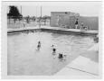 Photograph: [Henrietta Swimming Pool]