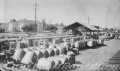 Thumbnail image of item number 1 in: '[Cotton bales at Rosenberg, TX train depot]'.