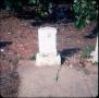 Photograph: [Grave of Arthur Montgomery, Nichol Cemetary]
