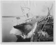 Thumbnail image of item number 1 in: '[Pensacola Ship Building Co. launching the S. S. "City of Weatherford," stern view #1]'.