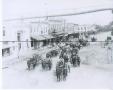 Thumbnail image of item number 1 in: '[Wagons & horses on Austin Ave]'.