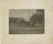 Thumbnail image of item number 1 in: '[Gentry's Trained Animal Show Wagon]'.