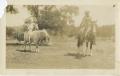 Photograph: [Man on horse leading steer]
