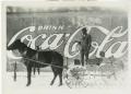 Photograph: [Delivery man with horse & buggy]