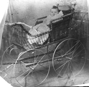 [Baby in buggy]