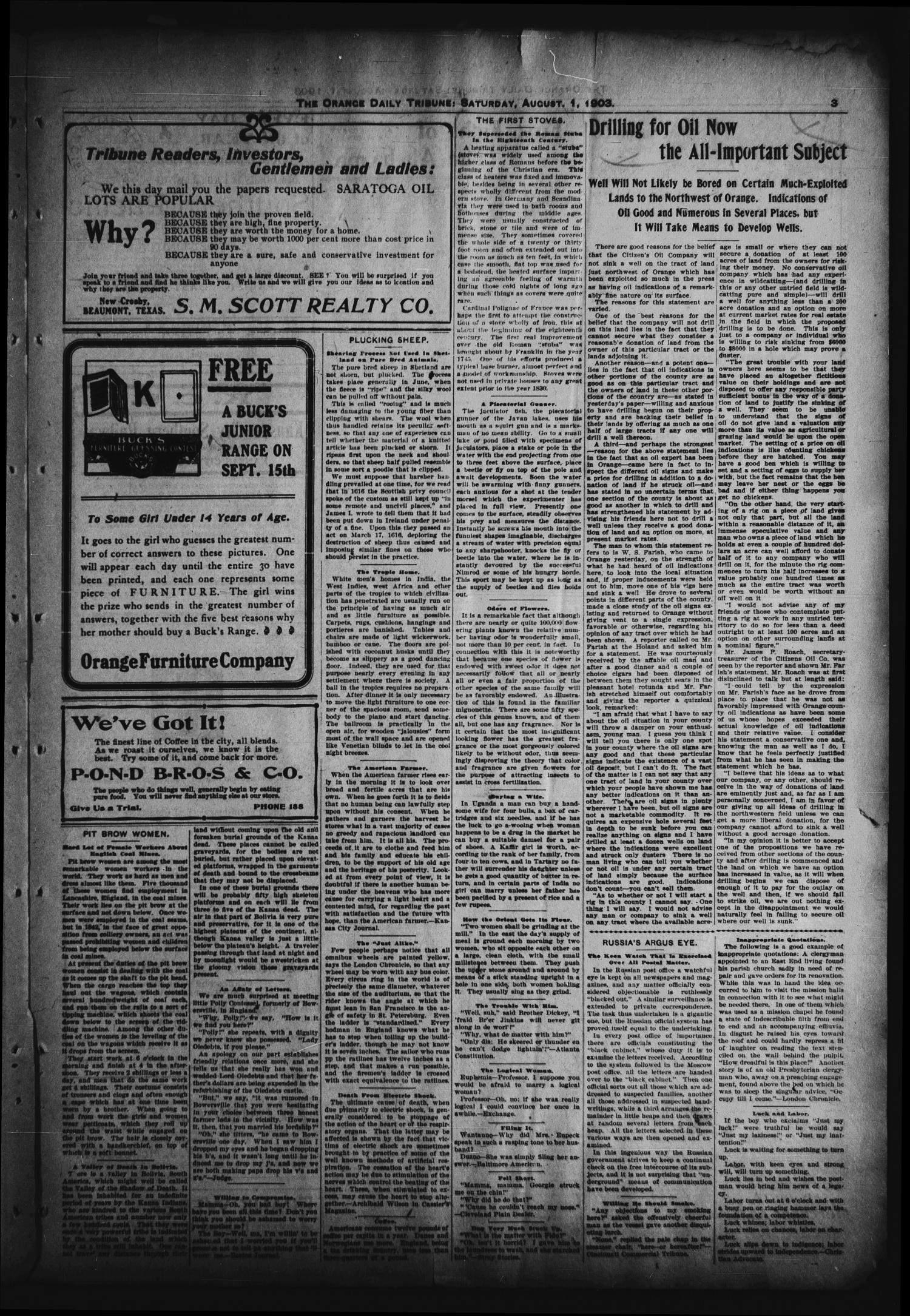 Orange Daily Tribune. (Orange, Tex.), Vol. 2, No. 109, Ed. 1 Saturday, August 1, 1903
                                                
                                                    [Sequence #]: 3 of 12
                                                