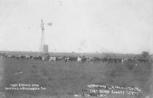 Primary view of object titled '[Grazing cattle with windmill near Rosenberg]'.