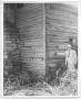 Photograph: Photo of Sam Rayburn beside cabin in Lenoir, Tennessee