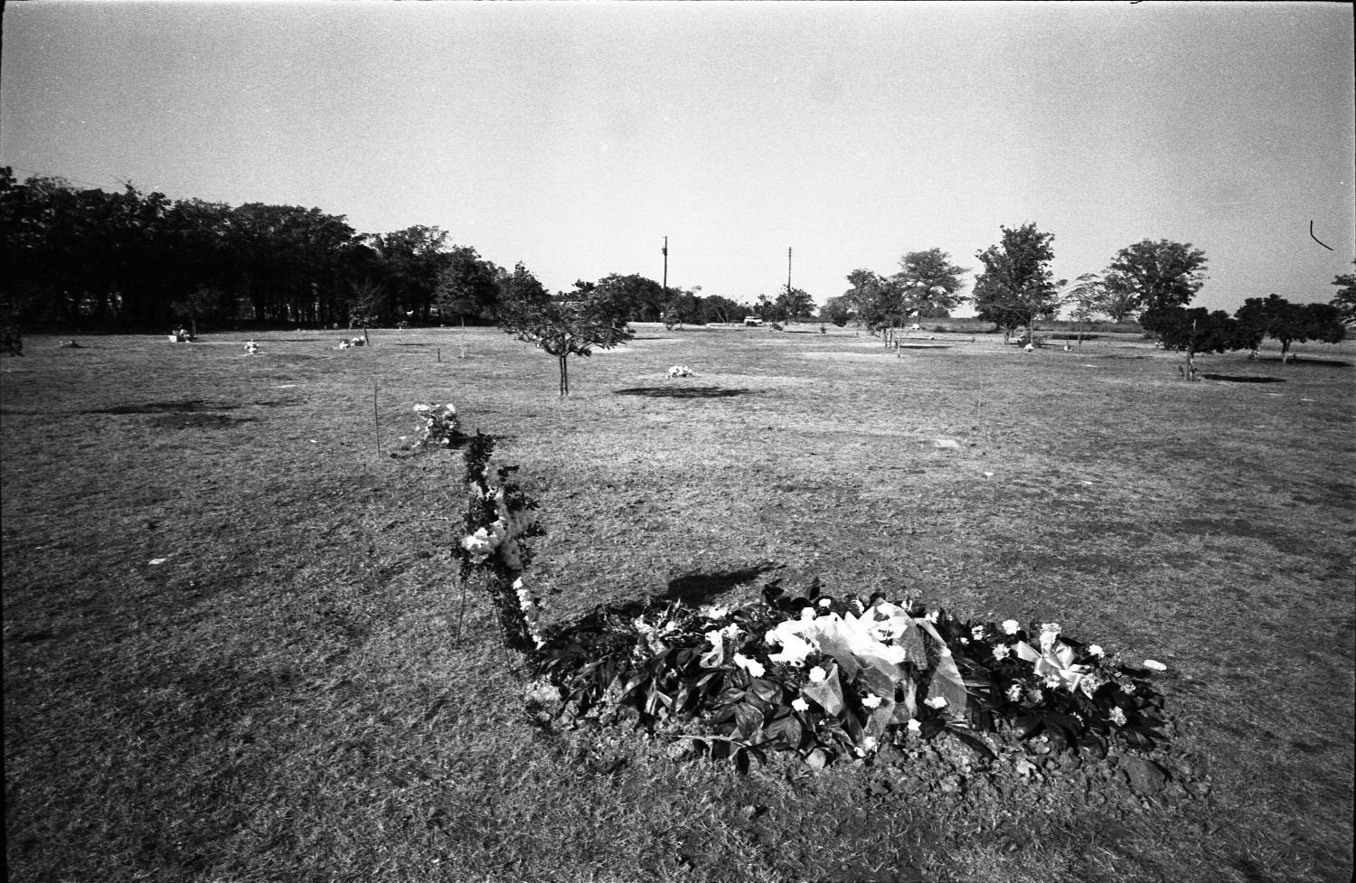 Lee Harvey Oswald's grave at Rose Hill Memorial Park] - The Portal to Texas  History