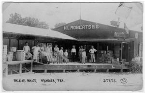 Primary view of object titled 'H. L. Roberts and Company Packing House, Hitchcock'.