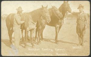 [Wounded Cavalry Horses]
