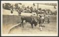 Thumbnail image of item number 1 in: '[A Bullfight in Plaza de Toros, Juarez Mexico]'.
