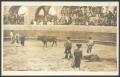 Postcard: [Mexican Bull Fight]