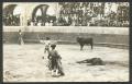 Postcard: [A Bullfight in Mexico 2]